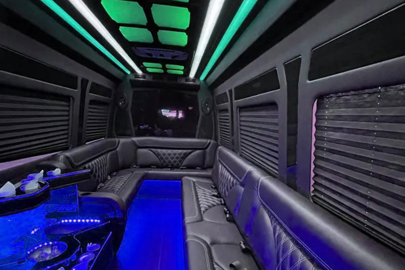 11-passenger Mercedes vans